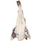 Bacalhau Crescido Inteiro Salgado Seco (Entre 1 a 2 kg e enviado com Corte para Lombos) product image