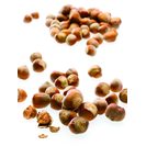 Imagem do produto Avelã com Casca