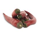 Malagueta Embalada product image