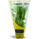 Imagem do produto Mangericão em Vaso