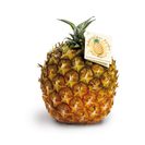 Ananás dos Açores (1 un = 2000 g aprox) product image