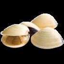 Imagem do produto Ameijoa Vietnamita Com Casca