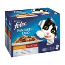 Imagem do produto Alimento Húmido para Gato Fantastic DUO