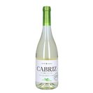 Imagem do produto Vinho Branco DOC Dão Colheita Selecionada