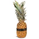 Imagem do produto Abacaxi Maturado (1 un = 1600 g aprox)