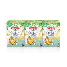 Imagem do produto Néctar Vital de Manga E Laranja