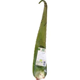 Imagem do produto Aloé Vera Biológico