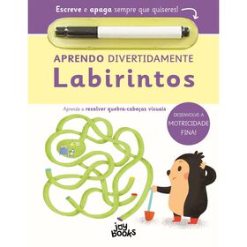 Imagem do produto Aprendo Divertidamente - Labirintos