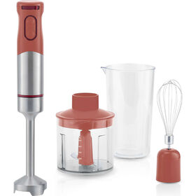Imagem do produto Varinha Mágica 4 em 1 1000W Spice