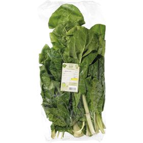 Imagem do produto Acelga Biológica