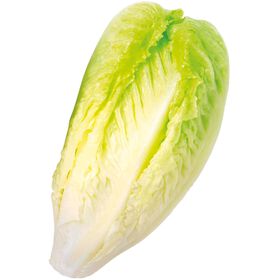Imagem do produto Alface Romana