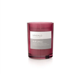 Vela em Copo Bordeaux 520g Sândalo product image