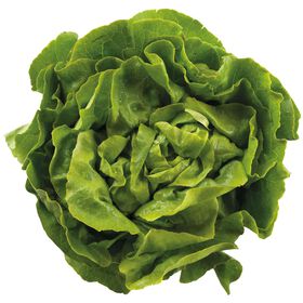 Imagem do produto Alface Lisa