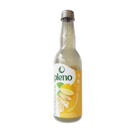 Bebida Kombucha Gengibre e Limão product image