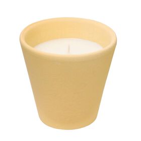 Vela Citronela em Copo Verde 130g product image