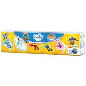 Imagem do produto Lenços de Bolso Patrulha Pata