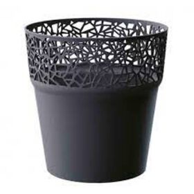 Imagem do produto Vaso Tree Antracite 14,5cm