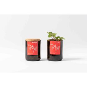 Bottle 7x10cm Morangos product image