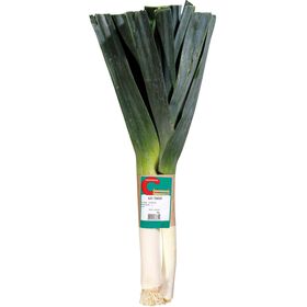 Alho Francês product image