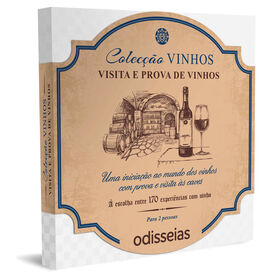 Imagem do produto Visita e Prova de Vinhos