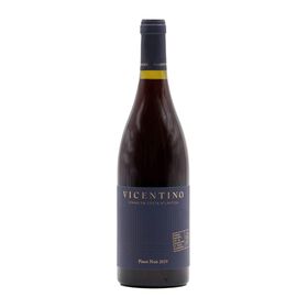 Imagem do produto Vicentino Pinot Noir Alentejo Vinho Tinto