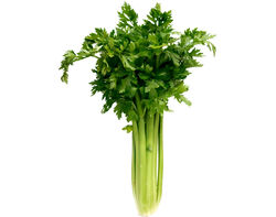 Imagem do produto aipo com rama kg produto local