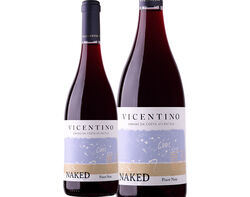 vinho tinto vicentino pinot noir naked 0.75l product image