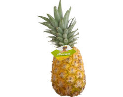 Imagem do produto abacaxi de angola kg