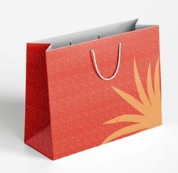 Imagem do produto saco presente auchan verm pintas tam l