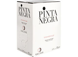 vinho tinto pinta negra lisboa bag in box 5l product image