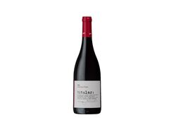 vinho tinto titular dão 0.75l product image