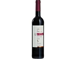 vinho tinto condes de barcelos vinhão vinho tintos verdes 0.75l product image