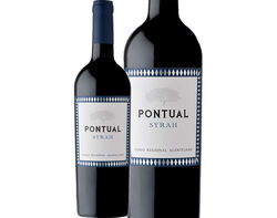 vinho tinto pontual syrah alentejo 0.75l product image