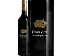 vinho tinto odelouca algarve 0.75l product image