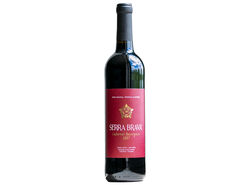 Imagem do produto vinho tinto serra brava cabernet sauvignon 0.75l