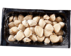 Imagem do produto ameijoa branca grande ultracongelada 500 gr
