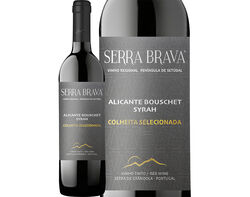 Imagem do produto vinho tinto serra brava colheita selecionada 0.75l