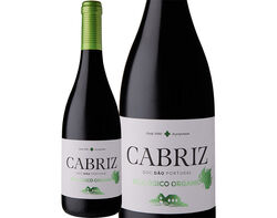 vinho cabriz tinto dão biológico 750ml product image