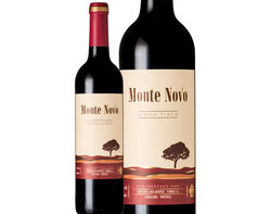 vinho tinto monte novo 0.75l product image