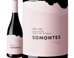 vinho tinto somontes dão 0.75l product image
