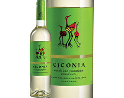 Imagem do produto vinho branco ciconia alentejo 0.75l
