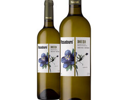 Imagem do produto vinho branco passadouro douro 0.75l