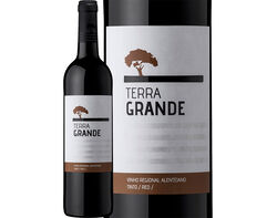 vinho tinto terra grande alentejo 0.75l product image