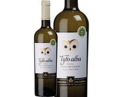 vinho branco tyto alba tejo 0.75l product image