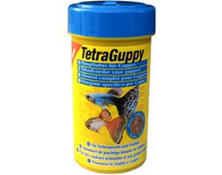 Imagem do produto alimento peixes tetra guppy 100ml