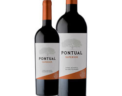 vinho tinto pontual alentejo 0.75 lt product image