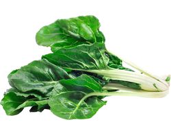 Imagem do produto acelga colorida bio 300g