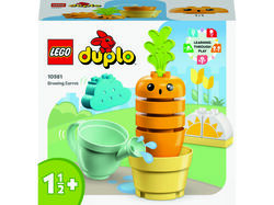 Imagem do produto cenoura crescimento lego duplo