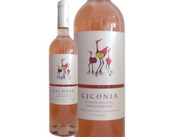 vinho rosé ciconia alentejo 0.75l product image