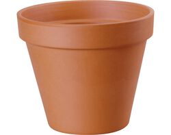Imagem do produto vaso standard número 14
